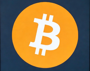 Bitcoin Profit Calculator logo