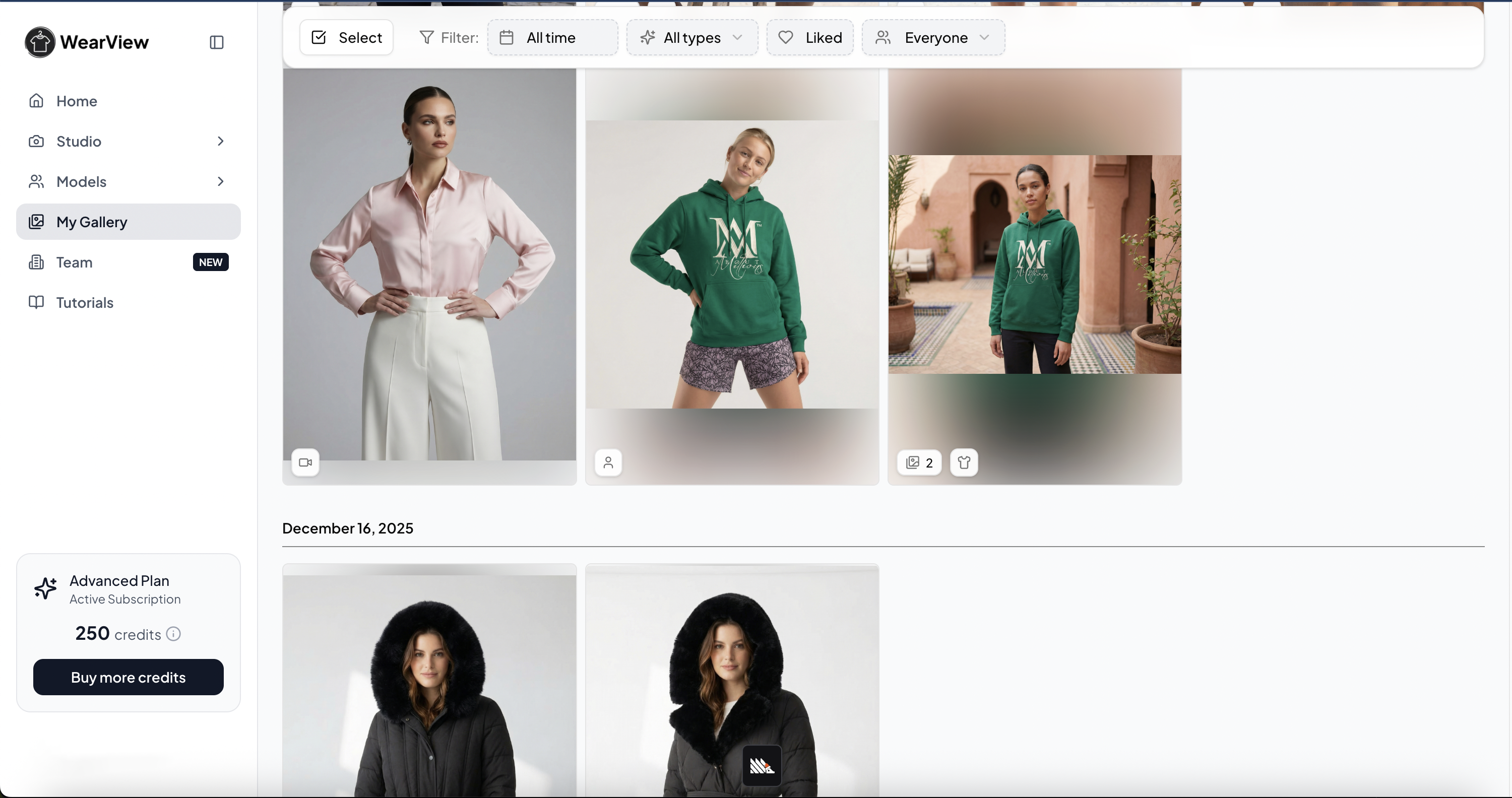 WearView AI